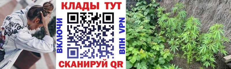 Где купить Дагестанские Огни ГЕРОИН  Марихуана  Меф мяу мяу  ГАШ  АМФ 