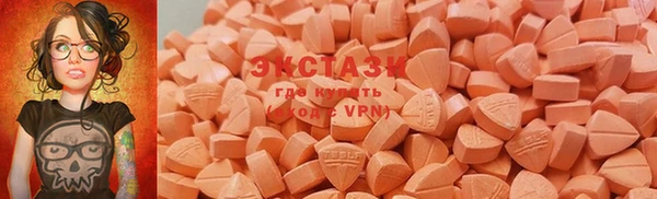 ECSTASY Бородино
