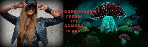 эйфоретик Богородицк
