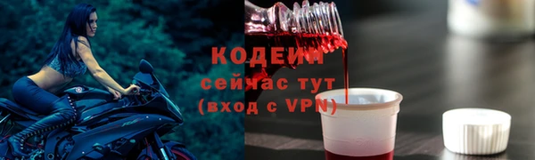 ECSTASY Бородино