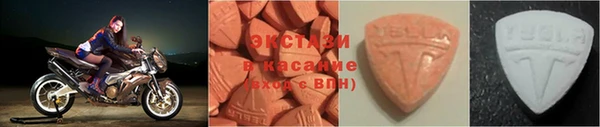 ECSTASY Бородино