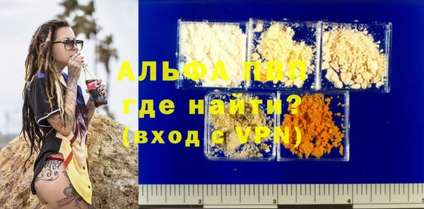 ECSTASY Бородино