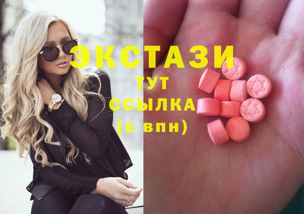 ECSTASY Бородино