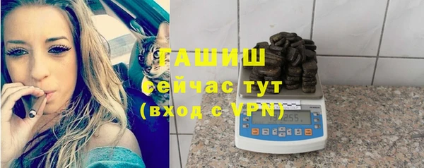 ECSTASY Бородино