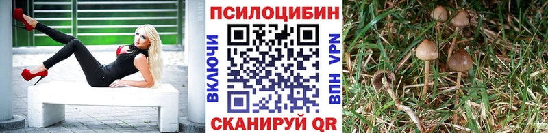 MEGA зеркало  купить   Дагестанские Огни  Псилоцибиновые грибы Psilocybine cubensis 